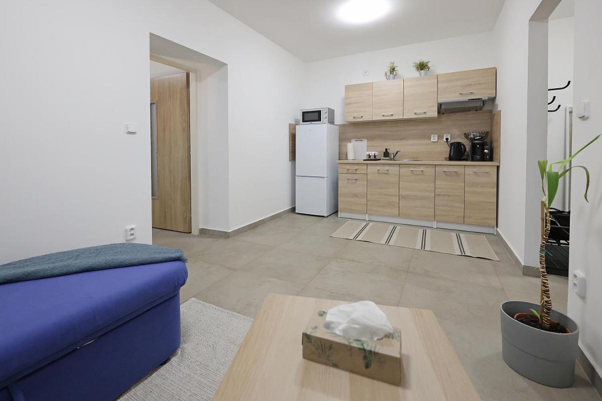 Apartamento Fara 3 Libice nad Cidlinou Exterior foto